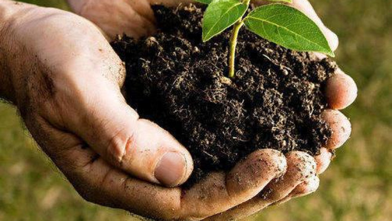 Global Nano Fertilizers Market Growth, Size, Share and Forecast 2027