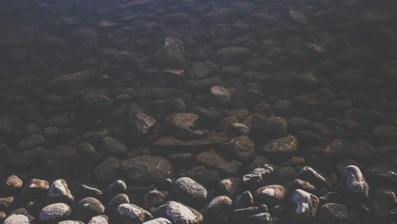 10 things you learned in kindergarden thatll help you with cbd gummies d8