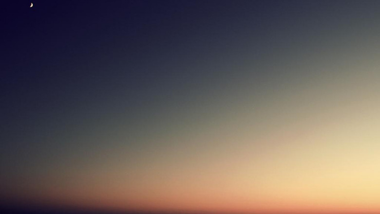 20 upandcomers to watch in the d8 thc gummies for sale industry