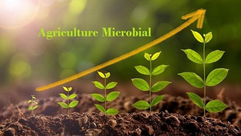 Agriculture Microbial Market Size, In-depth Analysis Report and Global Forecast to 2028