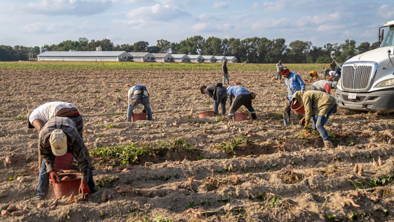 Agriculture Technology-as-a-Service Industry Growth 2021 - 2026 | Market Trends