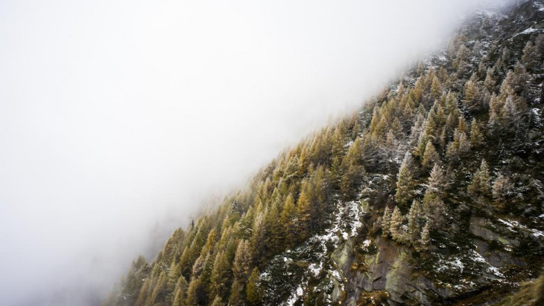 dance history hiphop dance mid 80s road dance website