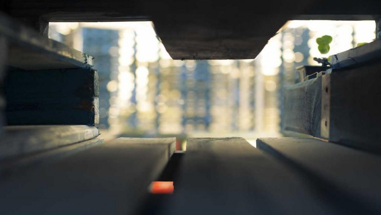 does your 1kg cbd isolate pass the test 7 things you can improve on today