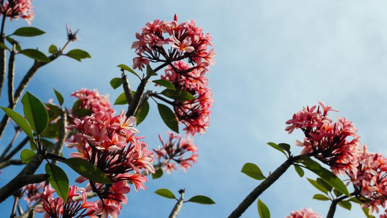 everyday proteckd clothes for men