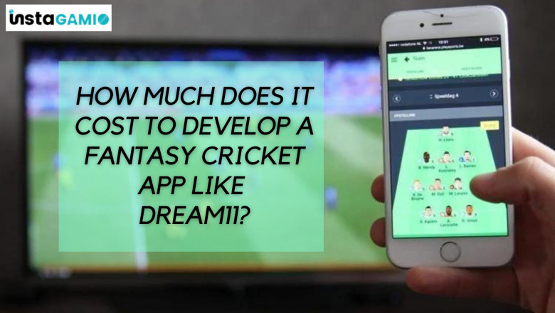 Fantasy Sports in Indian Market has a Good Future? Will the Market Grow Big with Time?