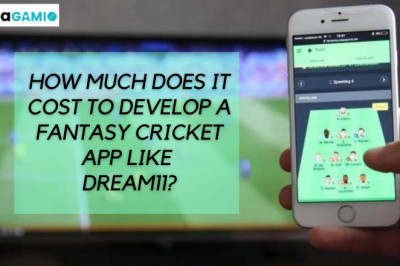 Fantasy Sports in Indian Market has a Good Future? Will the Market Grow Big with Time?