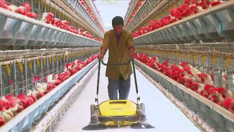 Farmers can Work More Efficiently With Poultry Keeping Machinery