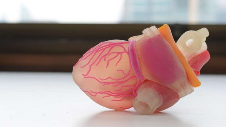 Global Artificial Organs Market: Detailed Analysis by Latest Trends, Demand and Forecast to 2028
