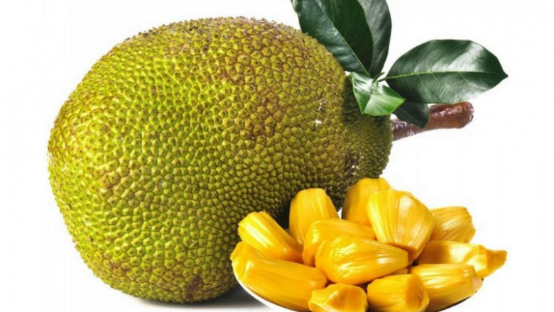 Global Jackfruit Market Trends Analysis, Recent Demand, and Forecast, 2022-2028