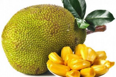 Global Jackfruit Market Trends Analysis, Recent Demand, and Forecast, 2022-2028