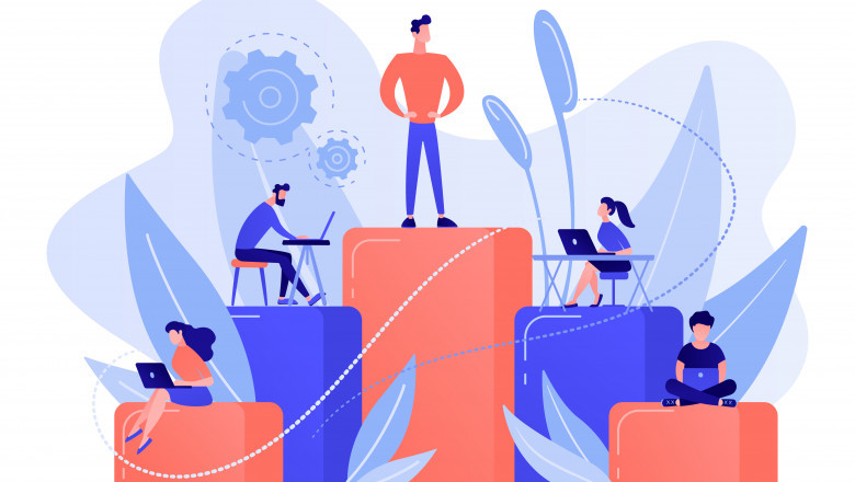 HIERARCHY STRATEGIES IN ORGANIZATIONS