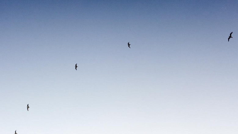 how successful people make the most of their men summer clothing