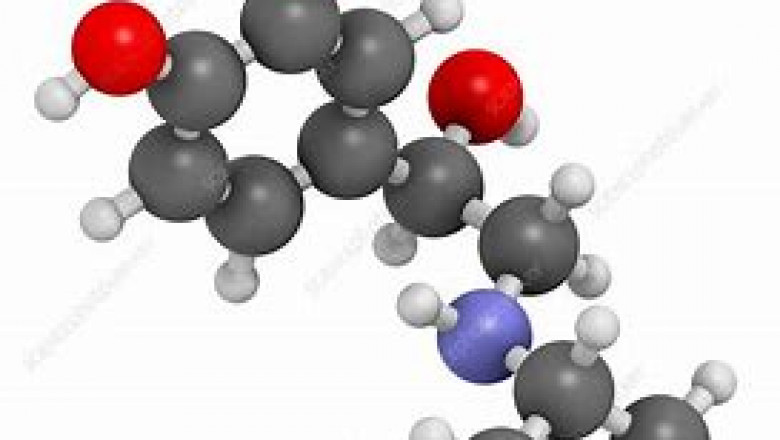 Isoprenaline (Isoproterenol) Market Share, Size and Industry Forecast Report to 2028