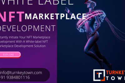 OpenSea Clone- Launch your OpenSea-like NFT marketplace smoothly