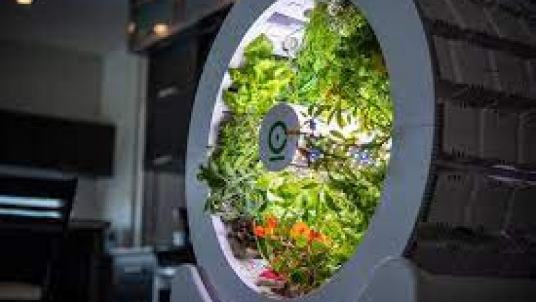 Smart Indoor Garden Market Share, Revenue and Growth Analysis Report Till 2028 | Value Market Research