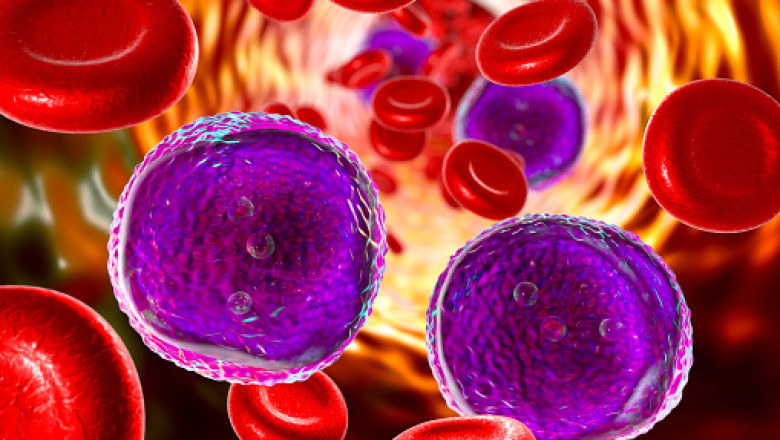 The specialty of haematology is provided by hematologists