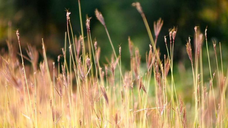 the worst advice weve ever heard about home security systems gold coast