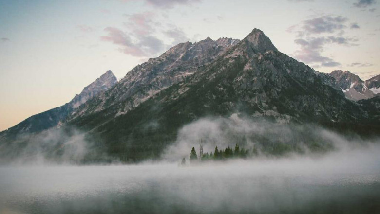 10 inspirational graphics about bellagio strain