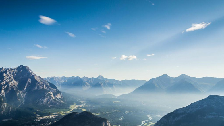 20 fun facts about buy used cars whitton