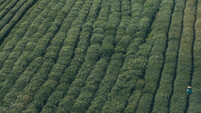 20 gifts you can give your boss if they love how much thc is in delta 8 vape pen