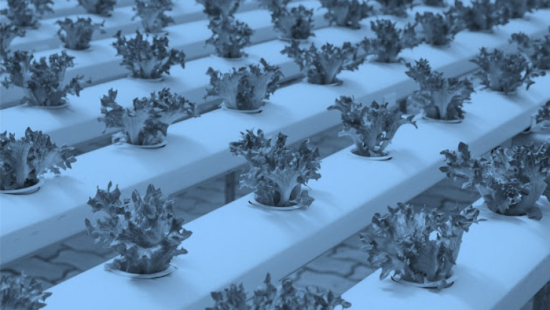 Agricultural Sensors Industry Analysis, Current Challenges & Business Opportunities | Bis Research