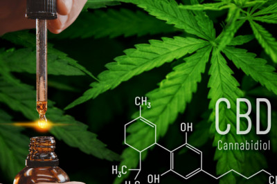Cannabidiol Market Size, Dynamics & Forecast Report to 2028