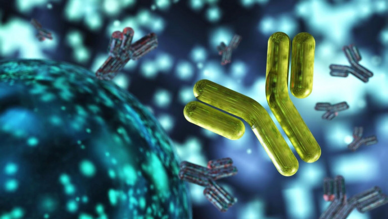 Chimeric Antibody Against HER2: An Overview
