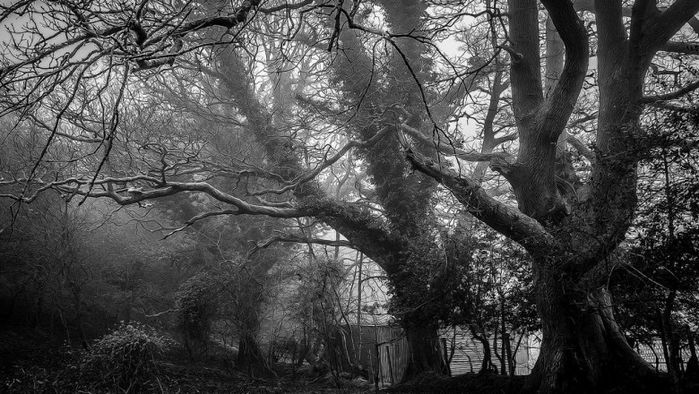 delta 8 wax pen a simple definition