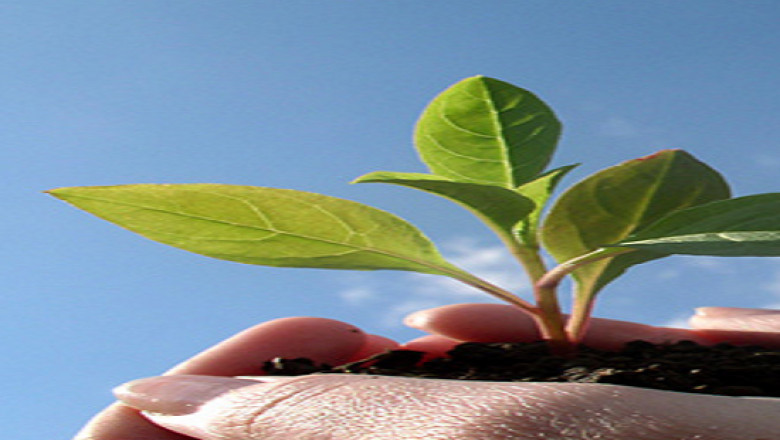 Energy Service Company: How to choose the Best One?