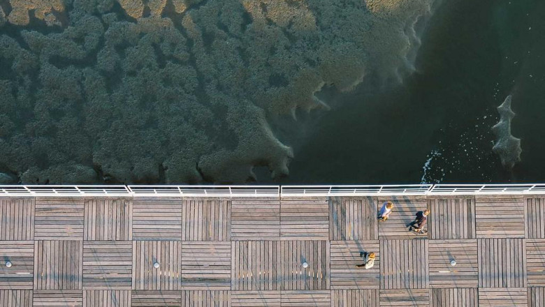 how to explain thc o cartridge to your boss