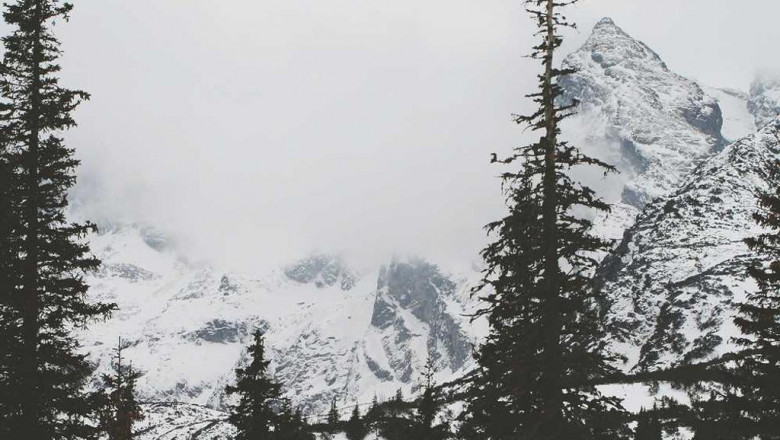 i prepare to dance what do i wear