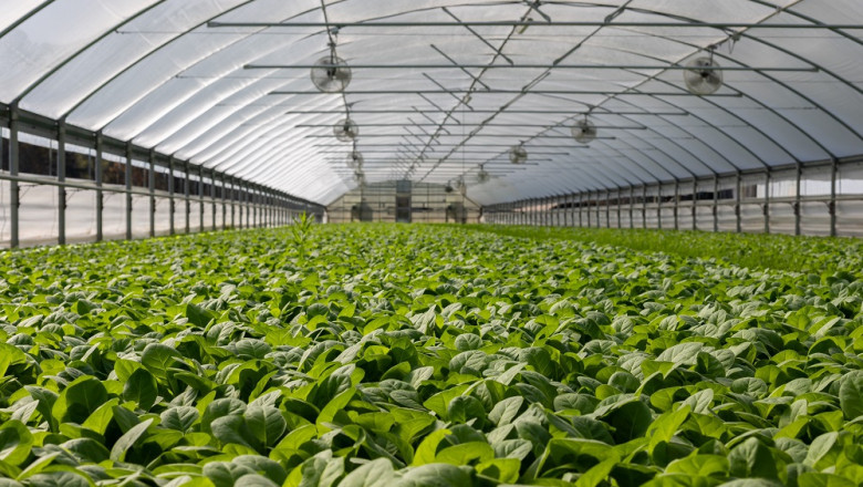 Indoor Farming Technology Industry Size In 2021 – 2026 Analysis by BIS Research