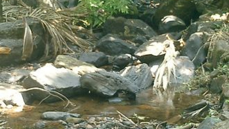 Places to visit in Kakkadampoyil