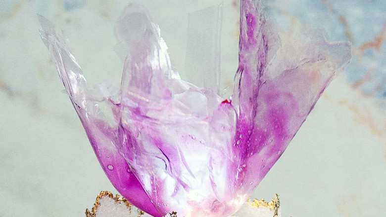 Quick Drying Gelatin Market Size, In-depth Analysis Report and Global Forecast to 2028