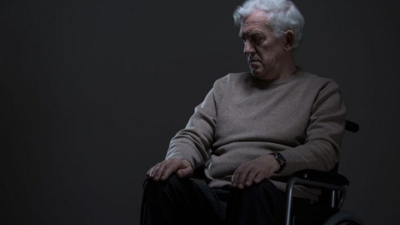 Reasons for the Importance of Disability Support Services