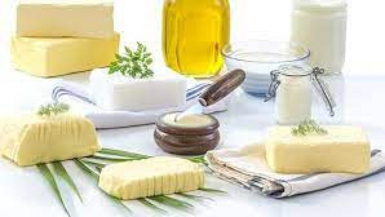Specialty Fats And Oils Market Trends, Share & Forecast Report to 2028