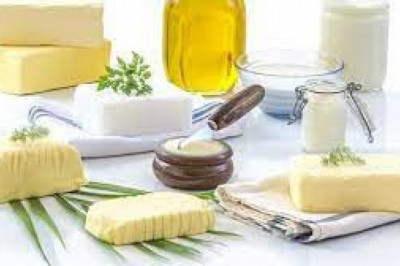 Specialty Fats And Oils Market Trends, Share & Forecast Report to 2028