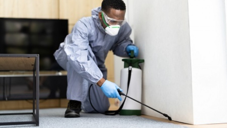 Termite Control for Wooden Homes