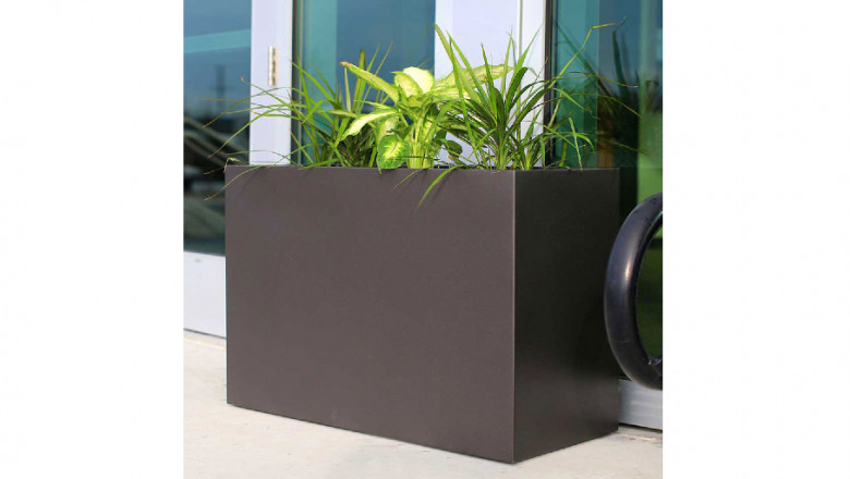 The Best Plants to Grow in Your Outdoor Garden