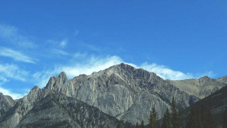 15 gifts for the extract labs wholesale lover in your life