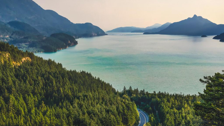 choosing the best camera security system for small businesses