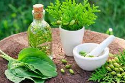Herbal Supplement And Remedies Market Trends, Share & Forecast Report to 2028