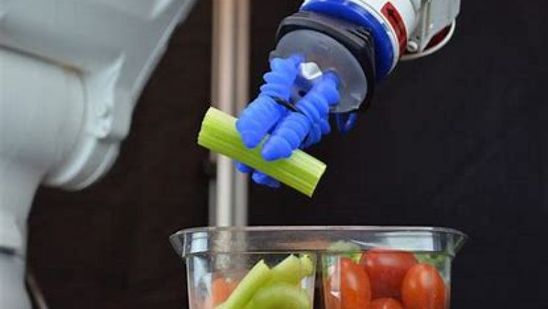 Soft Robotics Market Report Till 2028 | Latest Trends, Growth & Forecast