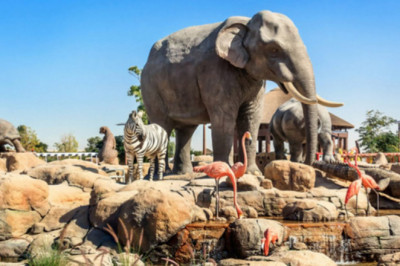 Bali Safari &amp; Marine Park Tour