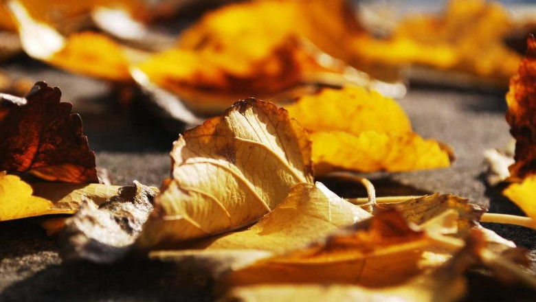 how much should you be spending on used cars in boroughbridge