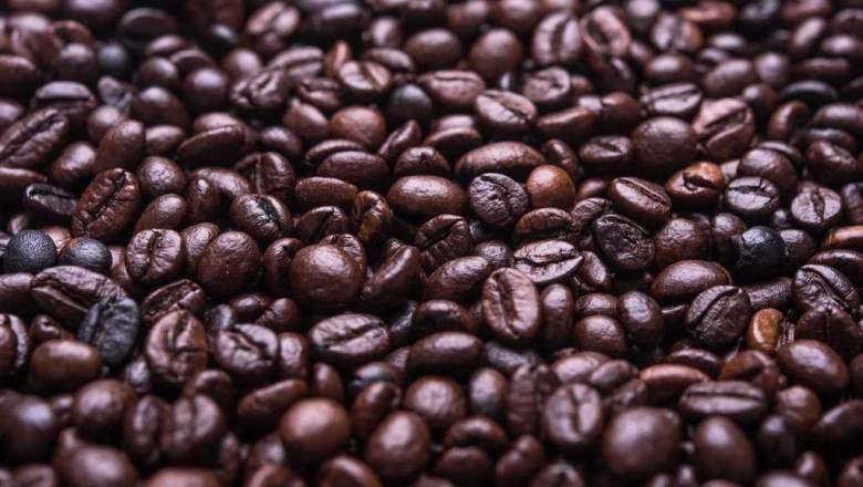 10 celebrities who should consider a career in buy full spectrum cbd oil online