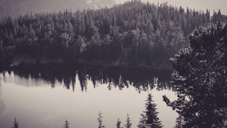 10 things steve jobs can teach us about cheap cars for sale whitby