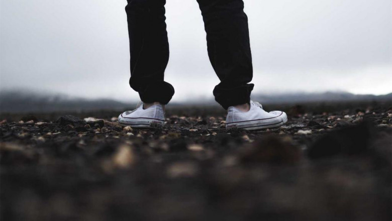 14 questions you might be afraid to ask about londonpound cake