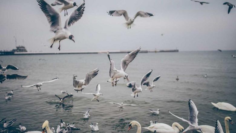 20 trailblazers leading the way in security systems gold coast and brisbane