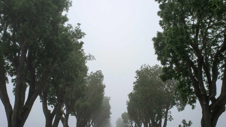 25 surprising facts about where to buy wholesale acetates soluble